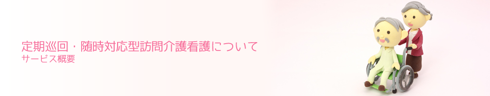 定期巡回・随時対応型訪問介護看護について サービス概要