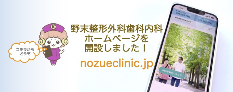 野末整形外科歯科内科,ホームページ開設,川崎区,小田,