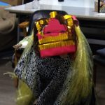 KODAK Digital Still Camera